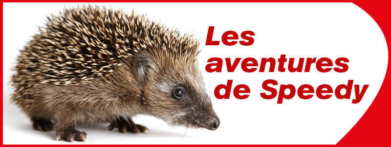 Speedy: Hibernation du hérisson