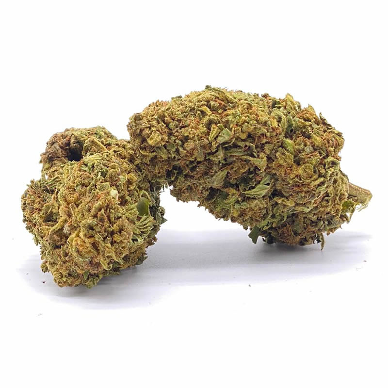 Fleur de cannabis CBD
